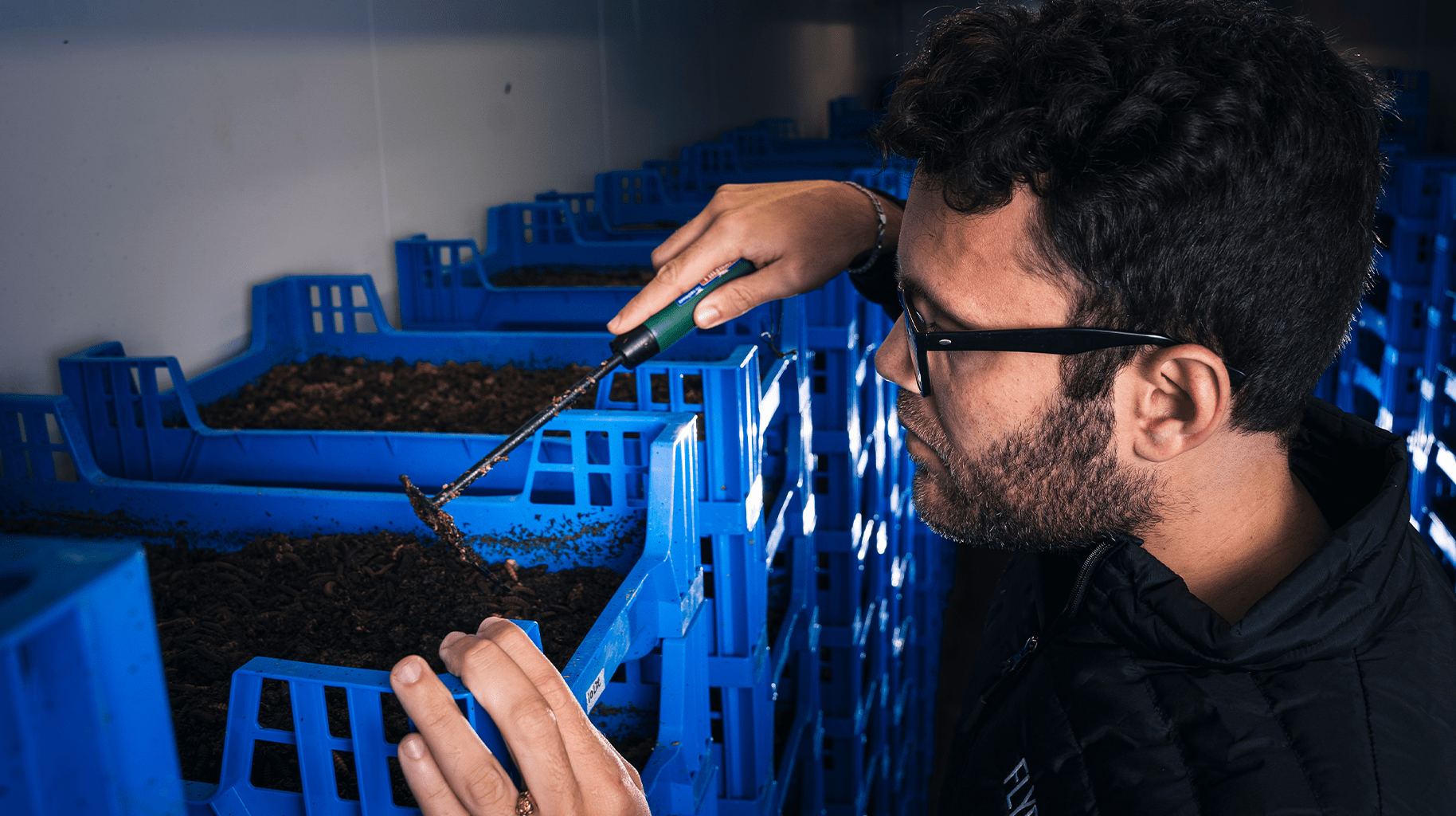Flybox CEO Larry Kotch checking the bioconversion process of Black Soldier Fly larvae at Insect Waste Management facility