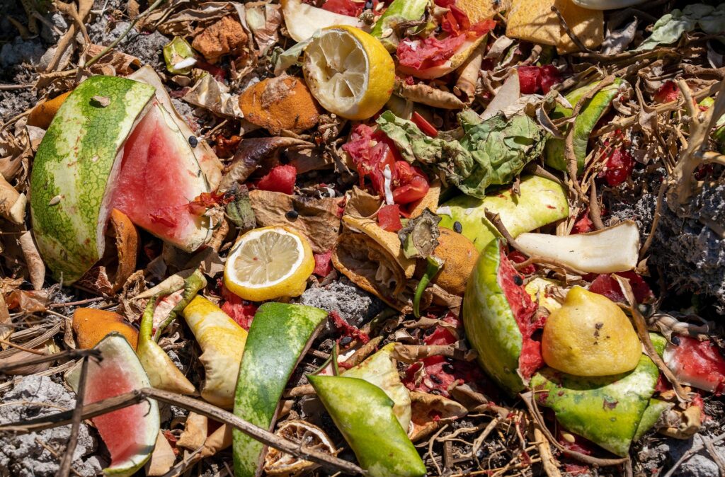 A close up of food waste scraps in an organic waste bin ready to be processed for insect farming feedstock.
