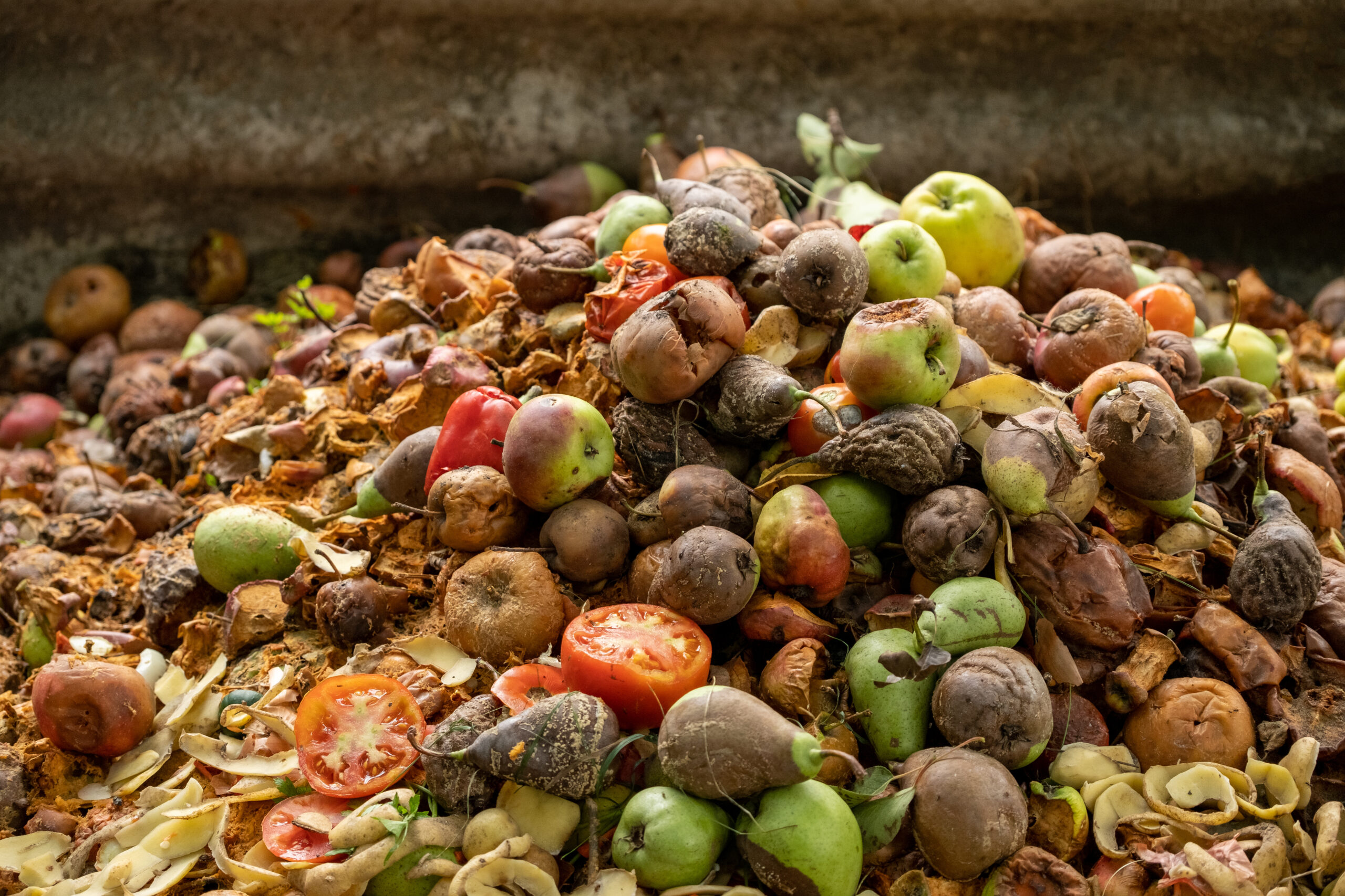 A mound of food waste including apples, pears and tomatoes to be used for insect farming in the UK
