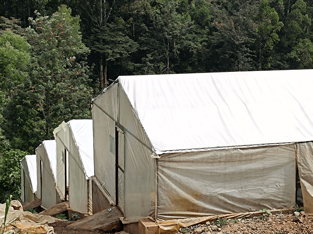 A row of Flybox polytunnel insect farming systems on site in Africa