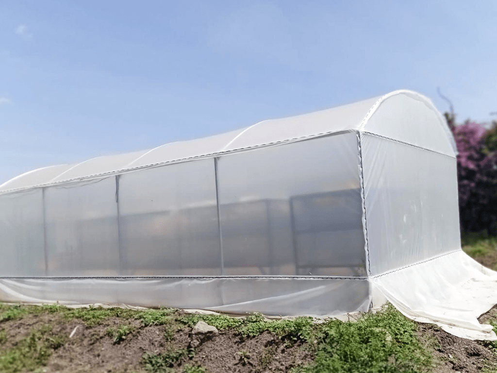 A wide angle view of a Flybox breed polytunnel insect farming system