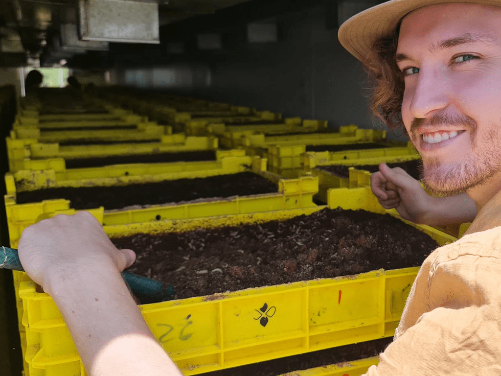 Flybox CFO Thomas Stringer in front of a row of yellow insect farming trays filled with black solder fly larvae