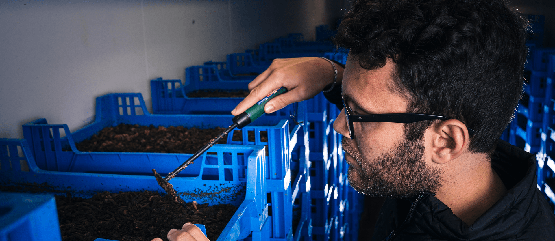 Flybox CEO Larry Kotch checking the bioconversion process of Black Soldier Fly larvae at Insect Waste Management facility