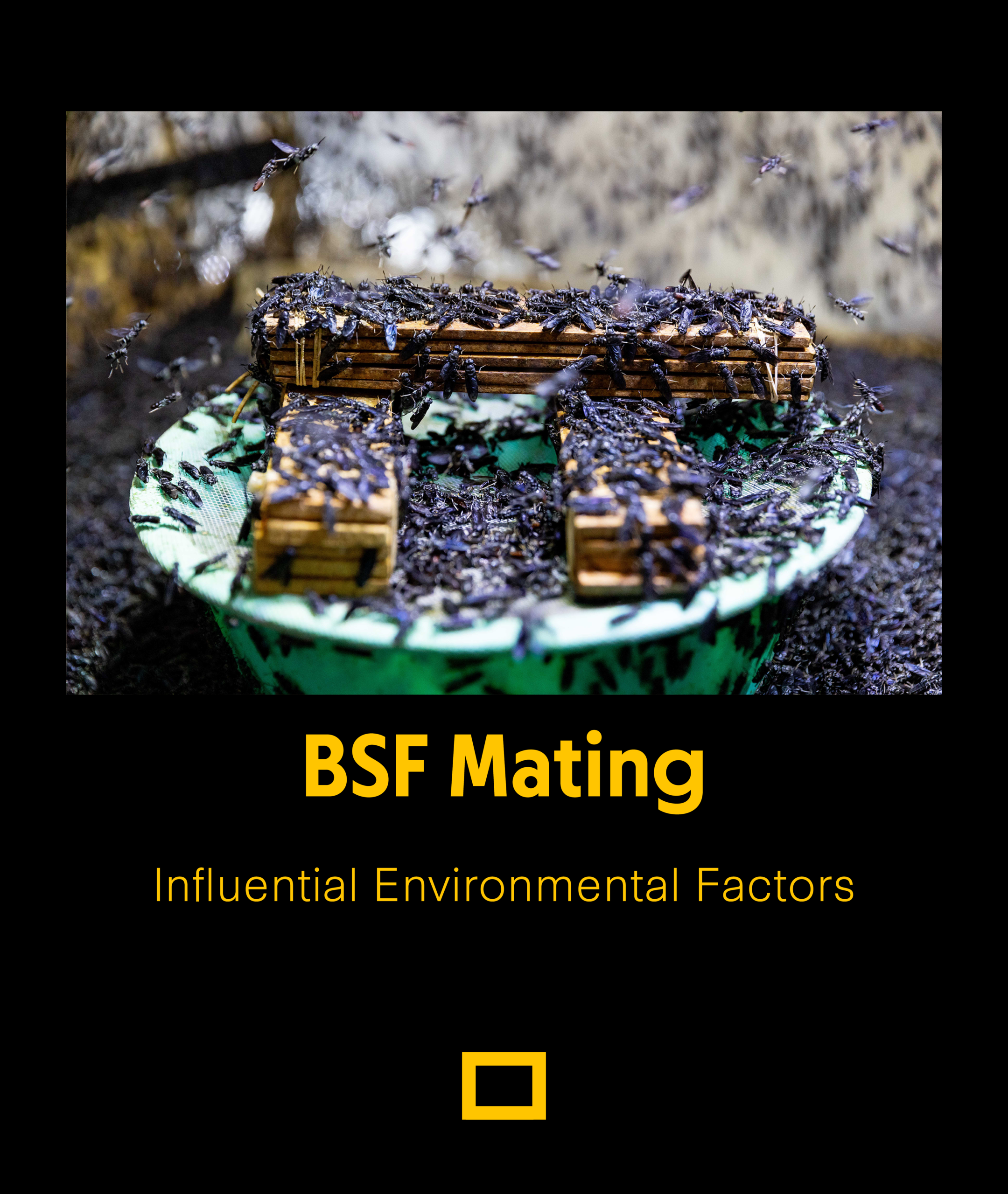 BSF Mating Environmental Factors: temperature, humidity, light spectrum, airflow requirements