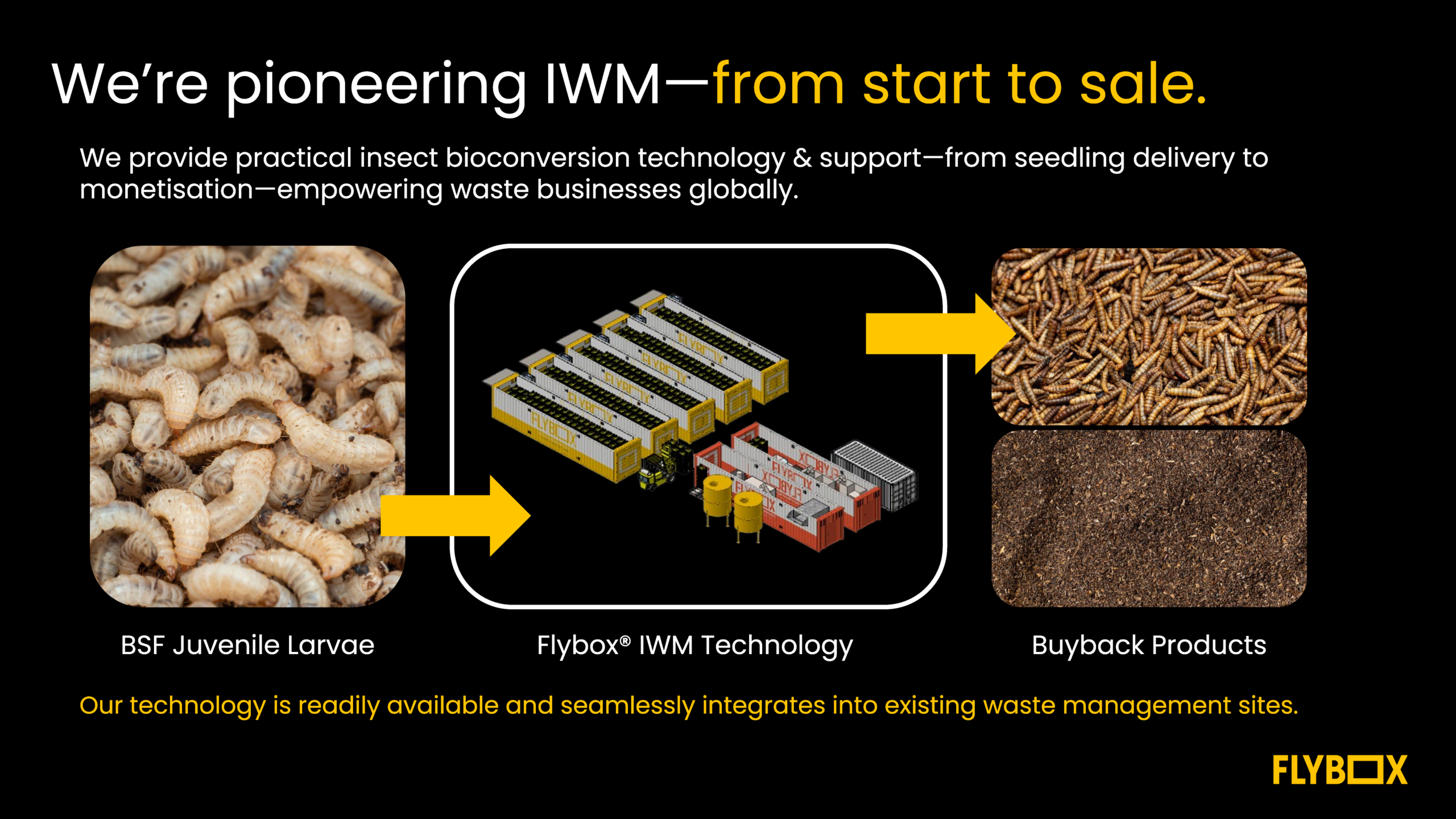 Flybox IWM model: BSF Juvenile Larvae → Flybox IWM Technology → Buyback Products (protein + frass)