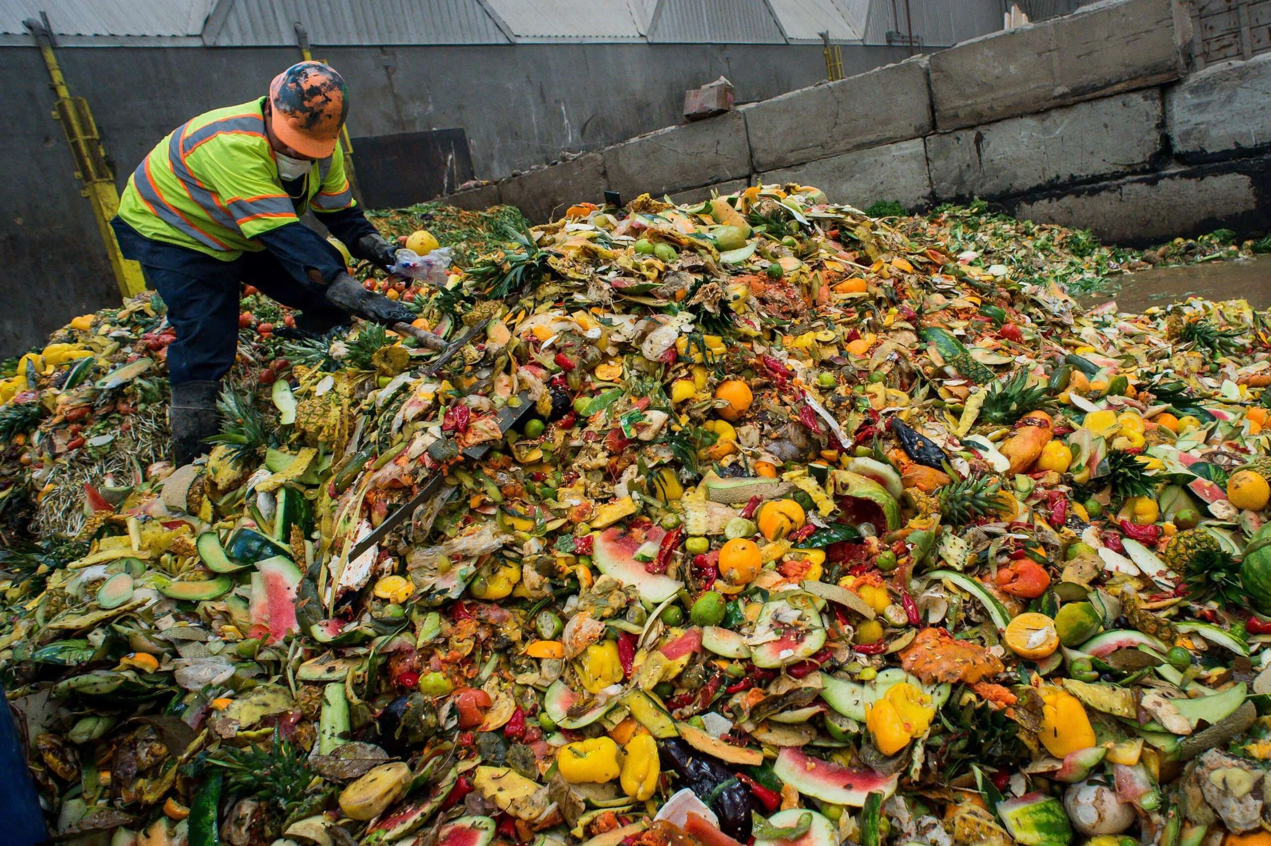 Organic food waste pile for insect farming feedstock