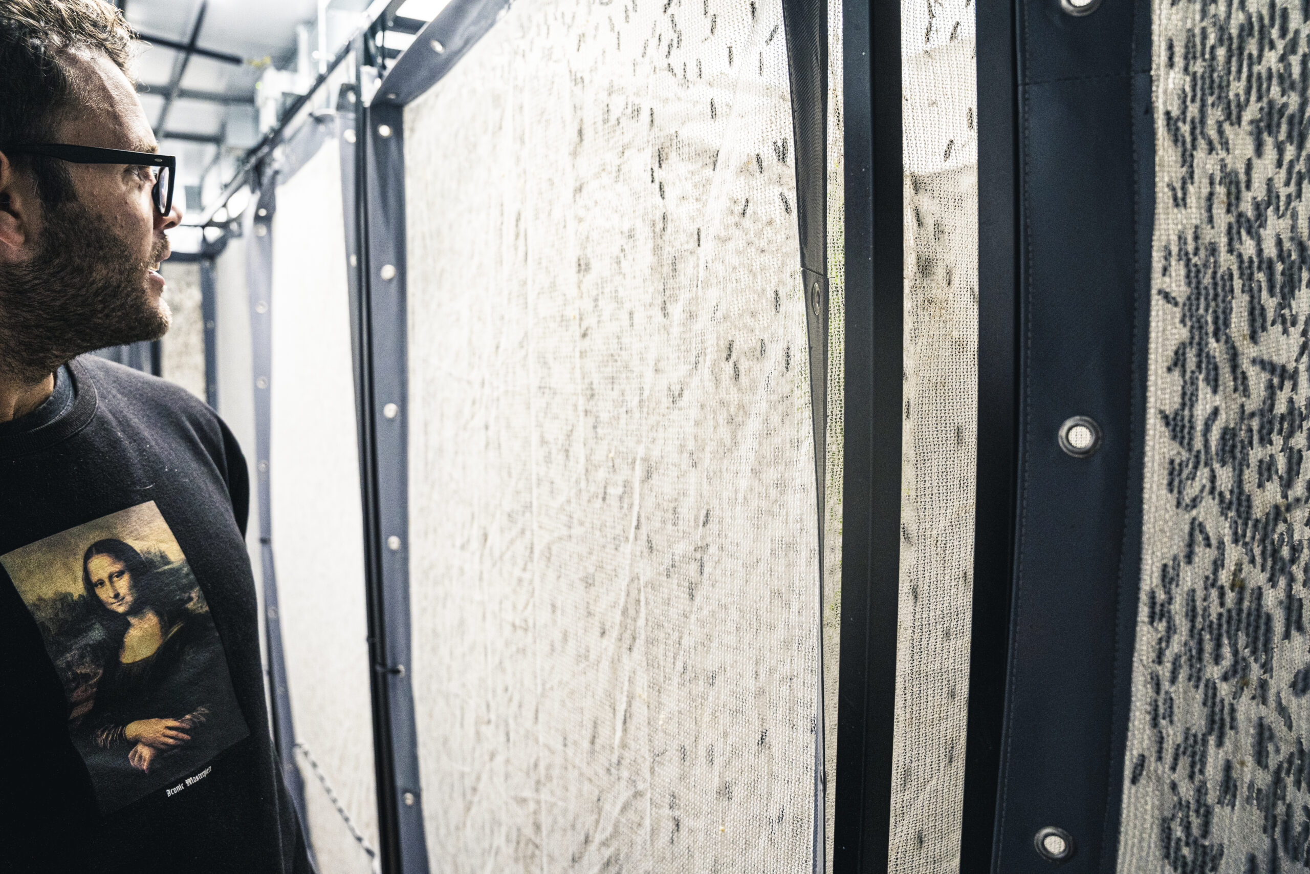 Larry Kotch inside a Flybox BSF breeding room