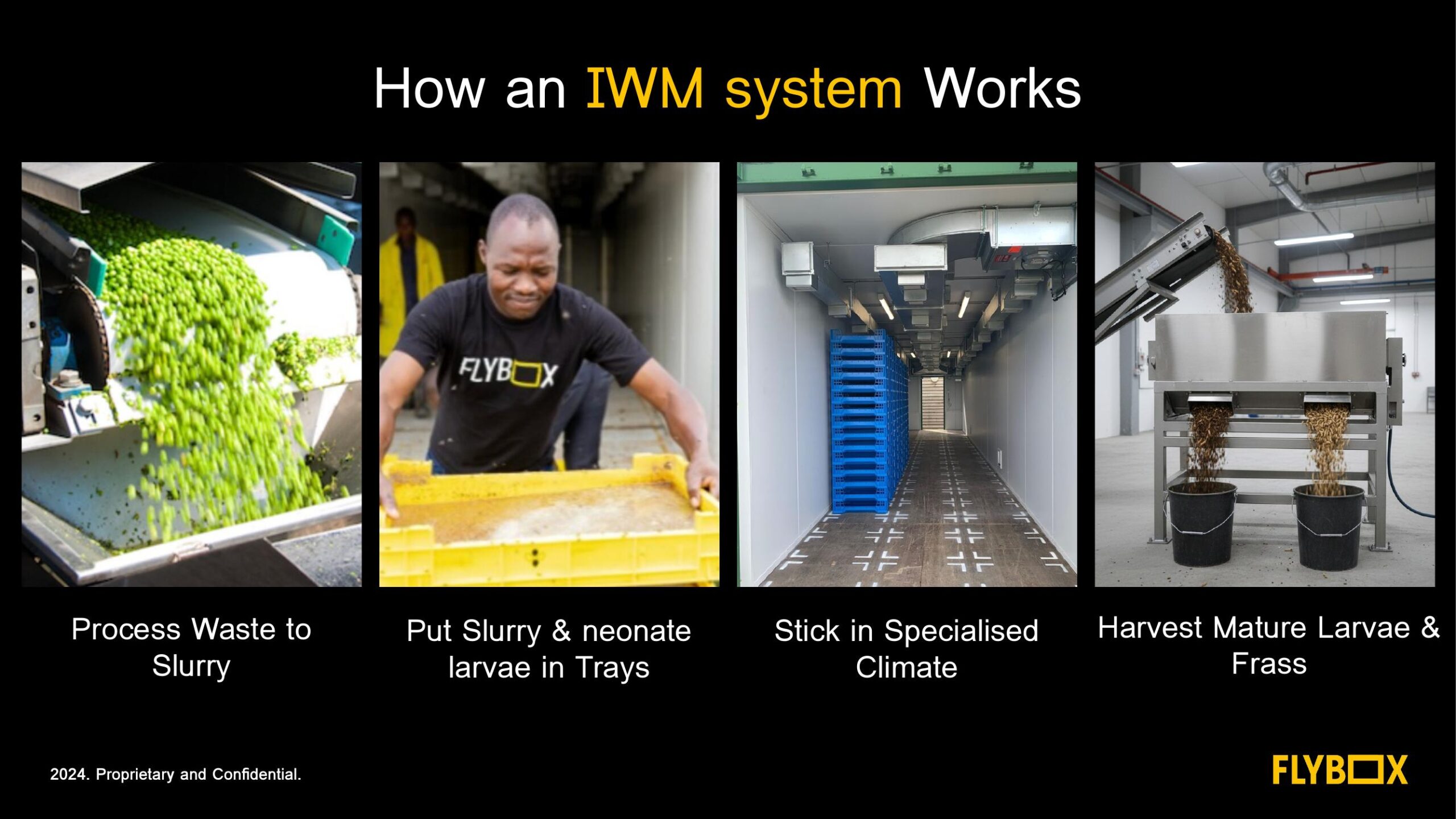 How an insect waste management system works four step process