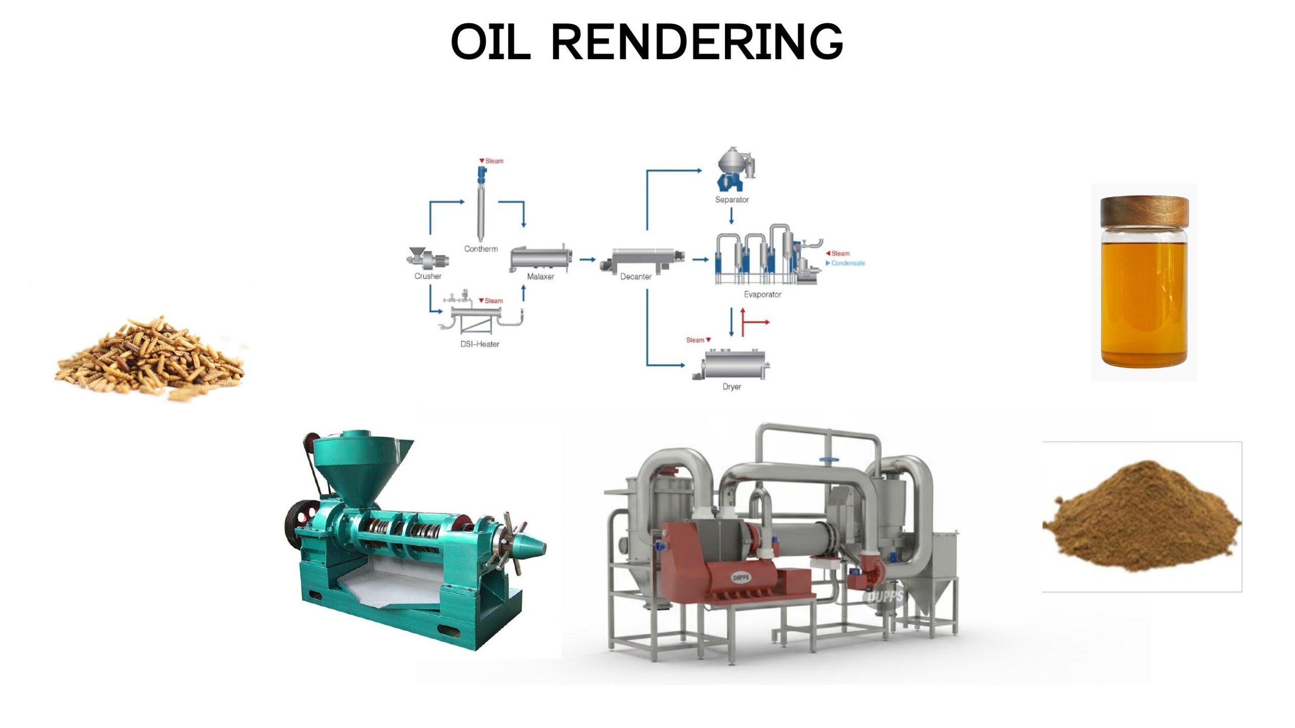 Oil rendering equipment screw press BSF oil defatted meal