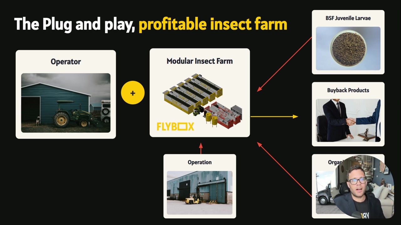 Flybox slide showing the plug and play profitable insect farm model with operator modular system BSF juvenile larvae and buyback products