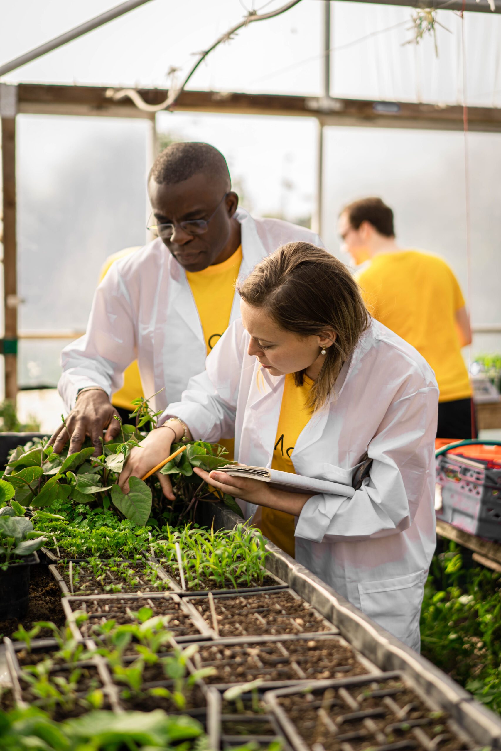 Flybox SmartSoil frass fertilizer application.